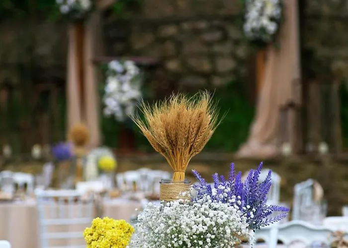 Villagepark Resort-spa