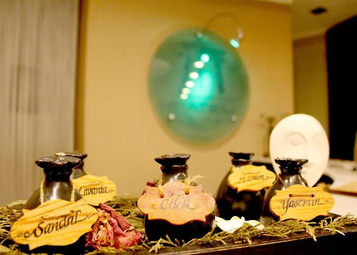 Villagepark Resort-spa 3* اسطنبول